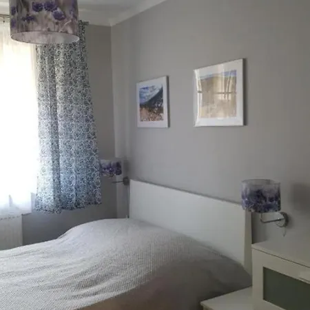 Lesna Przystan Apartamento *