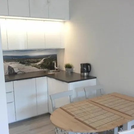 Lesna Przystan Apartment
