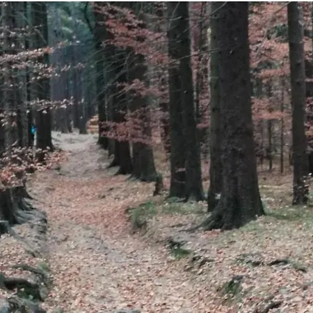 Lesna Przystan Apartamento