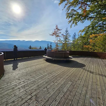 Lesna Przystan Apartamento