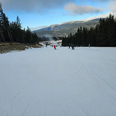 Lesna Przystan Apartment Schreiberhau