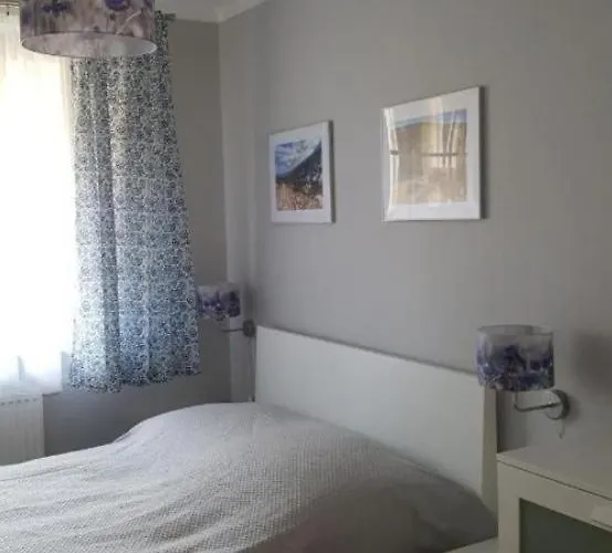 Lesna Przystan Apartment *