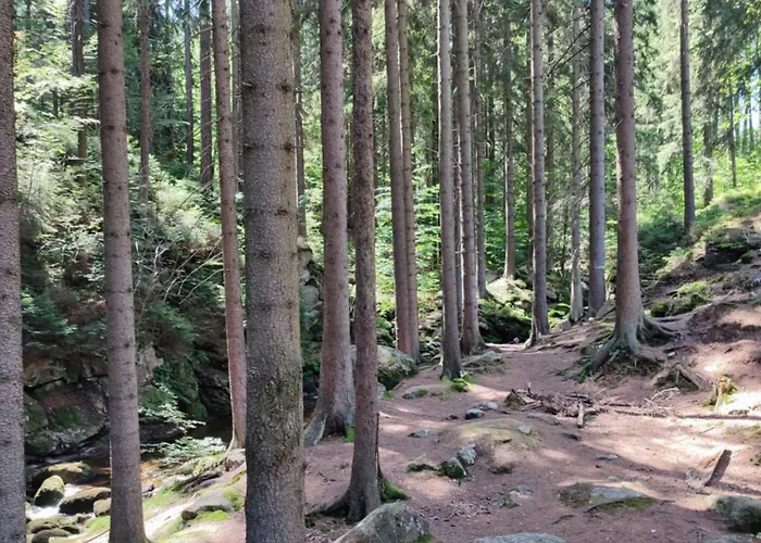 Lesna Przystan Schreiberhau