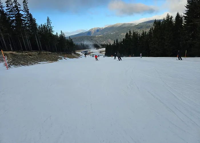 Lesna Przystan Apartment Schreiberhau